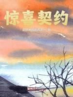 赵糯米和赵虎虎写的小说《惊喜契约》林默罗世玲全文阅读