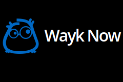 多平台免费远程软件Wayk Now下载 告别TeamViewer吧