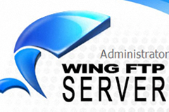 Wing FTP Server 6.1.8 企业特别版 - 站长必备FTP服务器软件