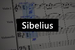 Avid Sibelius Ultimate 2019.4.5 中文特别版 - 非常知名的五线谱制作软件