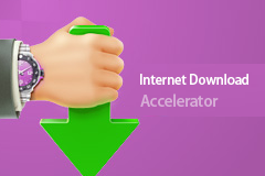 Internet Download Accelerator Pro 6.19.4 中文特别版 - 类似于IDM的下载工具