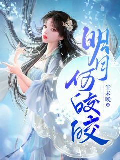 明月何皎皎小说最新章完整版在线阅读