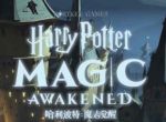 哈利波特魔法觉醒凤凰卡组有哪些？