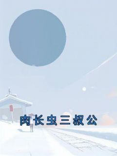 (无弹窗)主角金宝三叔公小说免费阅读