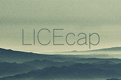 免费的GIF动画录制软件：LICEcap