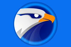EagleGet 2.1.5.10 便携版 - 优秀下载软件，高效且易用
