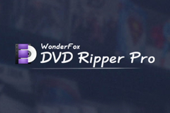 WonderFox DVD Ripper Pro 12.1 - DVD备份和转换工具
