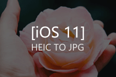 iOS 11的HEIC图片如何转换格式？免费的在线HEIC图片转换